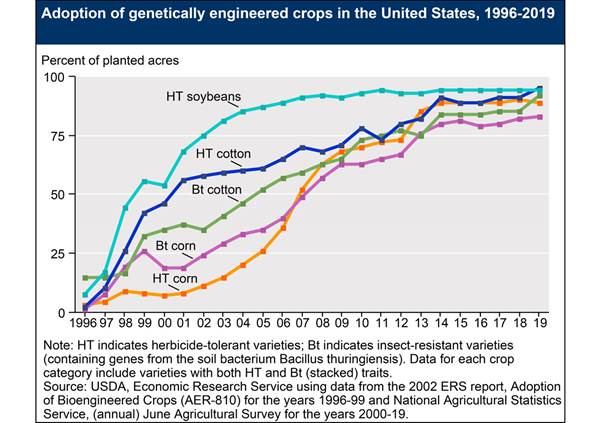 NEWS » WORLD NEWS » 92% Cotton, 90% Corn Areas in the US Produced